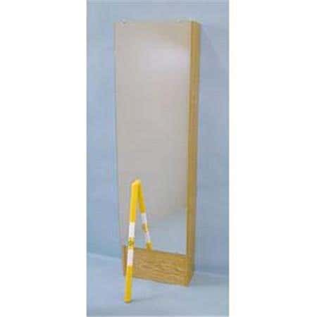 Mirror With Cabinet Gray