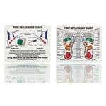 Mini Foot Reflexology Chart 4'X5'