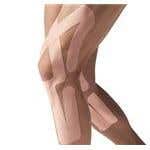 SpiderTech™ Gentle, Full Knee