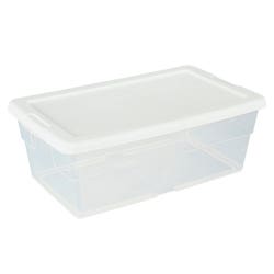 DL Clear Storage Container with Lid