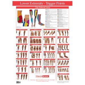TRIGGER POINT CHART LOWER EXTREMITY