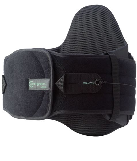 evergreen back brace