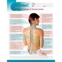 Vital Connect Spinal Poster Laminated 18X24