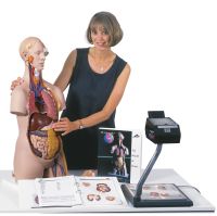 Classic Unisex Torso - 14 Part