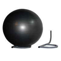 Therapy Ball Wall Rack