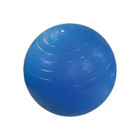 CanDo® Inflatable Exercise Balls & Balance Balls