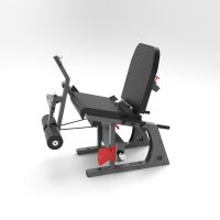Exxentric LegExx Machine