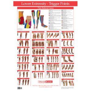 TRIGGER POINT CHART LOWER EXTREMITY