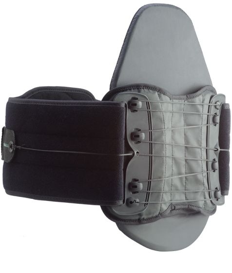 Aspen Evergreen 631 LSO LoPro Lumbar Support & Back Brace