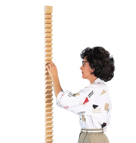 Hausmann Shoulder Ladder