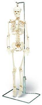 Mr. Thrifty With Nerves