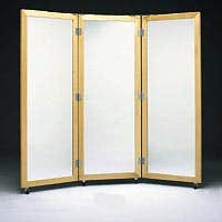 3-Way Posture Mirror W/ Casters